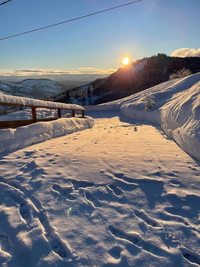 Le Cocon D'Emma Daire La Bresse Dış mekan fotoğraf